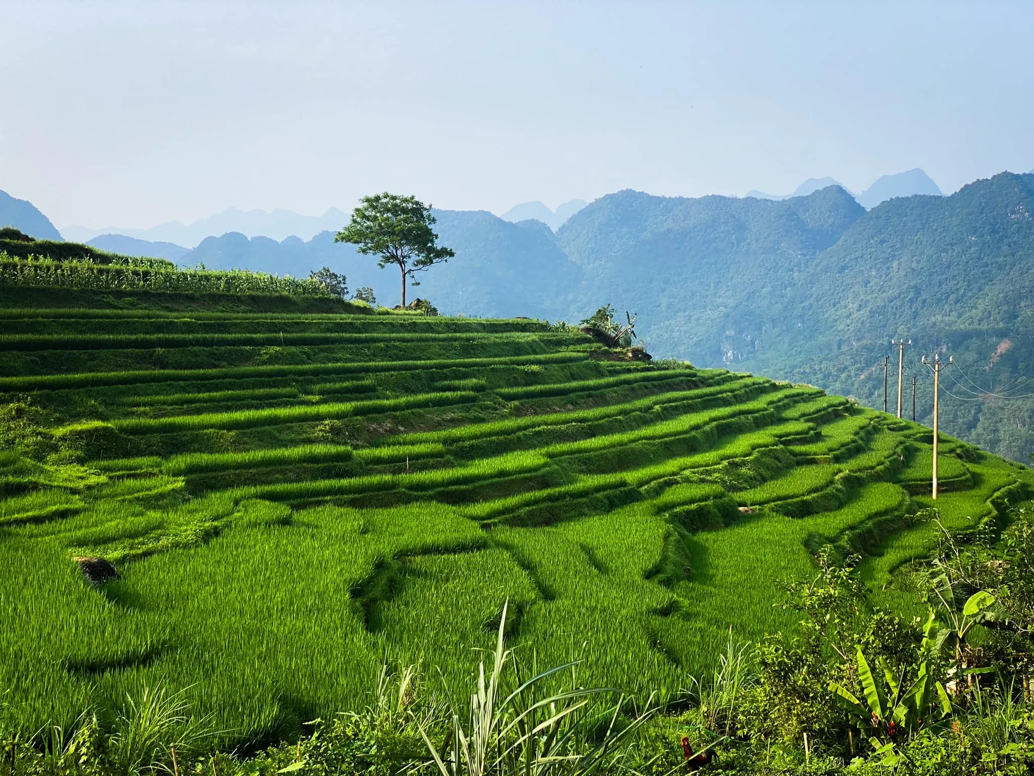 8 Days In Vietnam Itinerary: Best Idea For Travel Guide