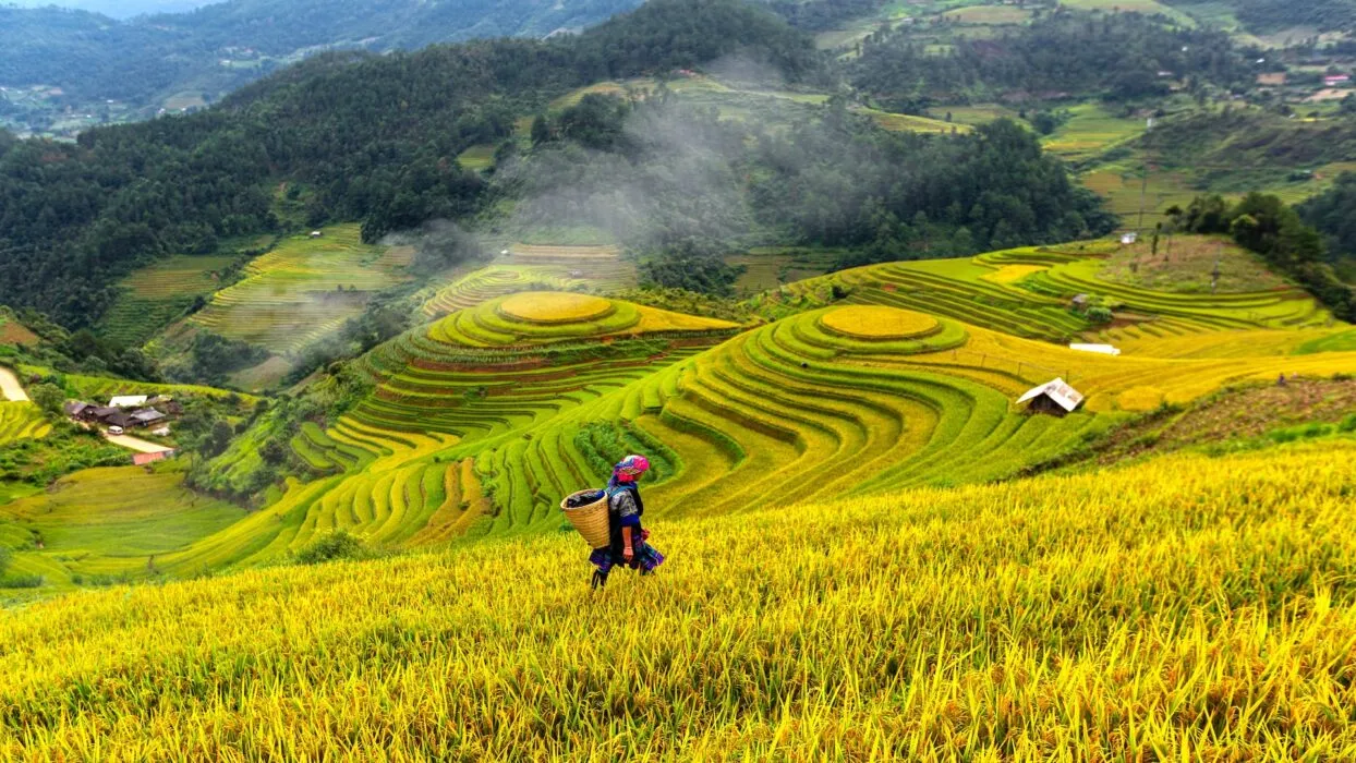North Vietnam itinerary 10 days: Best places to visit