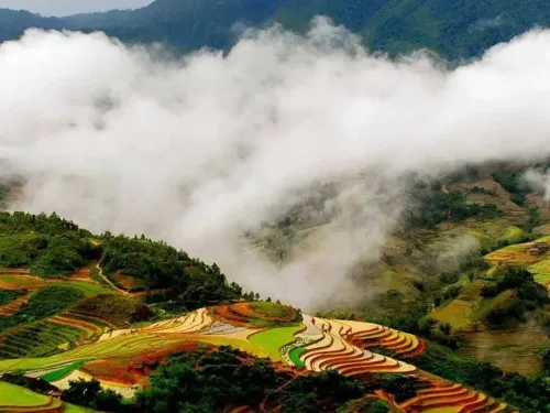 8 Days Vietnam Family Adventure: Sapa – Halong Bay Overnight Cruise – Da Nang